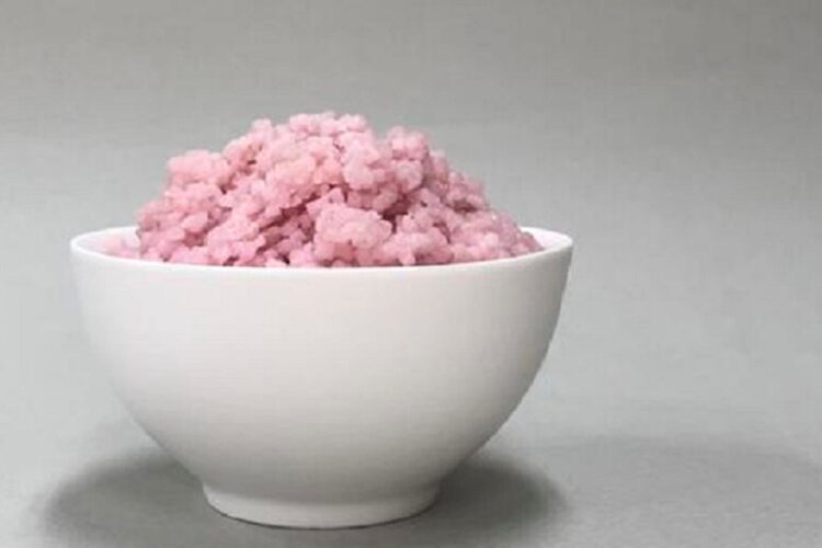 Cibo ibrido: la carne coltivata nei chicchi di riso