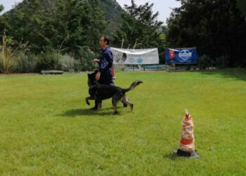 Corretta gestione del cane: domenica a Modica