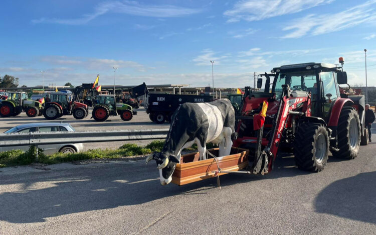 Protesta agricoltori: 90 trattori in corteo a Ragusa