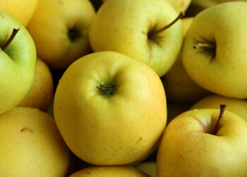 Dieta antinfiammatoria per intestino: cosa mangiare e cosa non mangiare