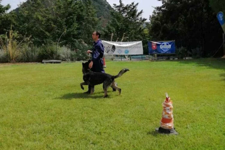 Momento Cinofilo, corretta Gestione del Cane: al Parco S. Giuseppe U Timpuni di Modica