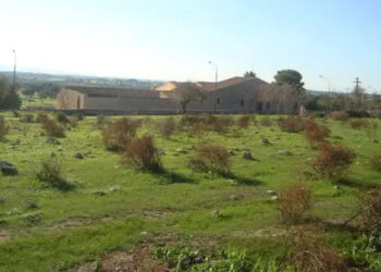 A Vittoria la finale regionale di corsa campestre