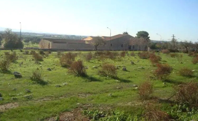 A Vittoria la finale regionale di corsa campestre
