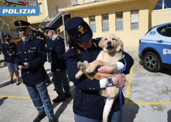 Questura di Ragusa: l’impegno dei cinofili e le capacità del cane al servizio della collettività