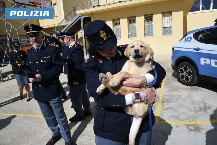 Questura di Ragusa: l’impegno dei cinofili e le capacità del cane al servizio della collettività