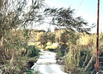 Comiso, strada del Passaporto: facciamo chiarezza ma, soprattutto, raccontiamo la verità