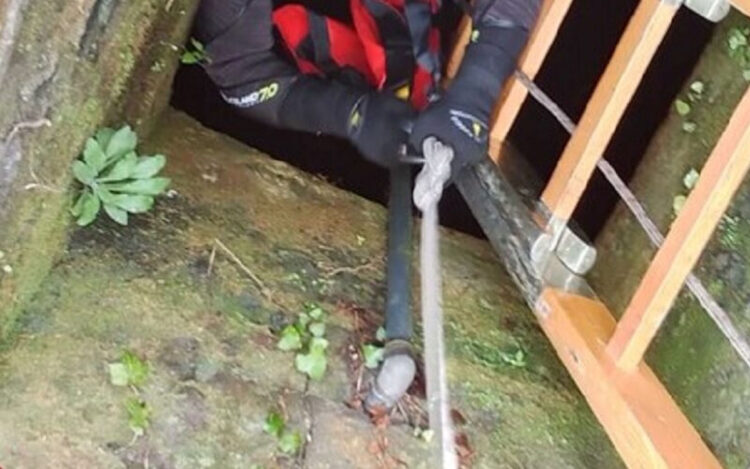 Muore per salvare il proprio cane