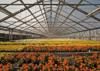 Florovivaismo, ddl delega approvato alla Camera: accolte istanze aziende ragusane