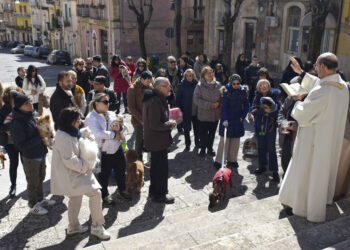 Torna la festa di San Giuseppe a Ragusa: benedizione animali