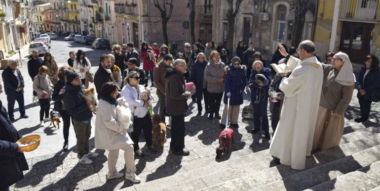 Torna la festa di San Giuseppe a Ragusa: benedizione animali