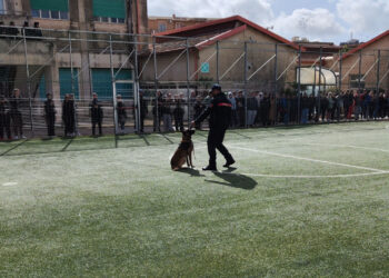 Modica, gli incontri nelle scuole per la legalità