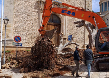 Comiso, 8 marzo 2024: l’atto barbarico è compiuto