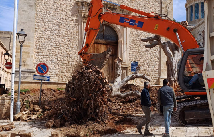 Comiso, 8 marzo 2024: l’atto barbarico è compiuto