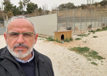 Vittoria: situazione precaria al canile comunale