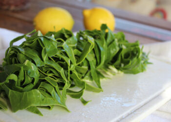 Dieta e cibi amici del cervello: sviluppa la memoria mangiando in modo sano