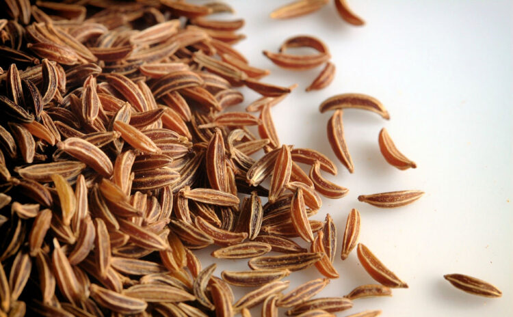 Tisana di cumino: ricetta e benefici