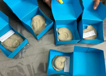 Grande festa al Museo Civico di storia naturale