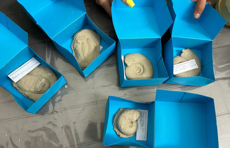 Grande festa al Museo Civico di storia naturale