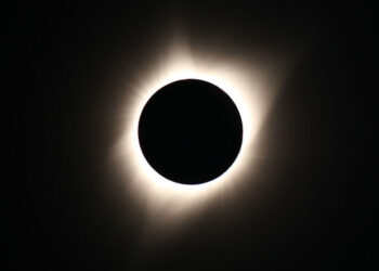 Eclissi solare 2024, sarà notte improvvisa per pochi minuti: attenti al comportamento degli animali