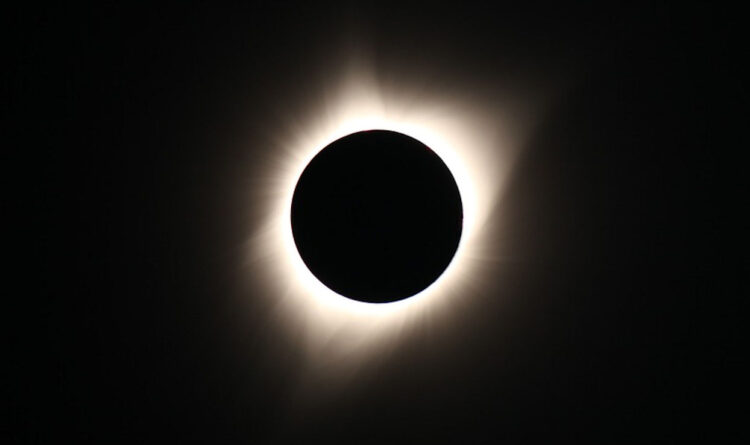 Eclissi solare 2024, sarà notte improvvisa per pochi minuti: attenti al comportamento degli animali