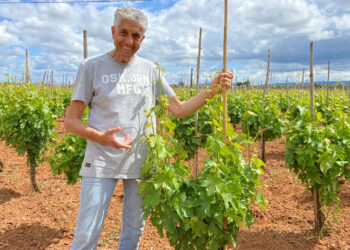 Consorzio Cerasuolo di Vittoria, Guglielmo Manenti è il nuovo Presidente