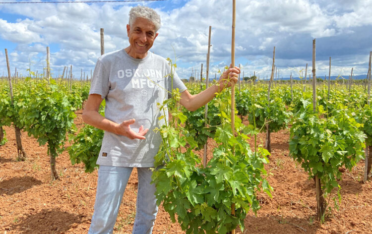 Consorzio Cerasuolo di Vittoria, Guglielmo Manenti è il nuovo Presidente