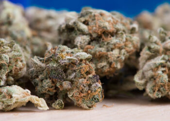 Marijuana in casa a Ispica: 48enne ai domiciliari