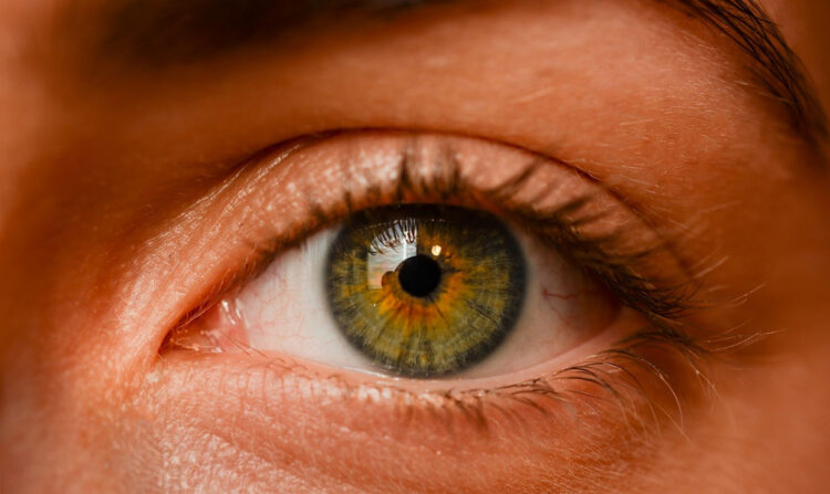 Perché vediamo luci e colori strani quando chiudiamo gli occhi