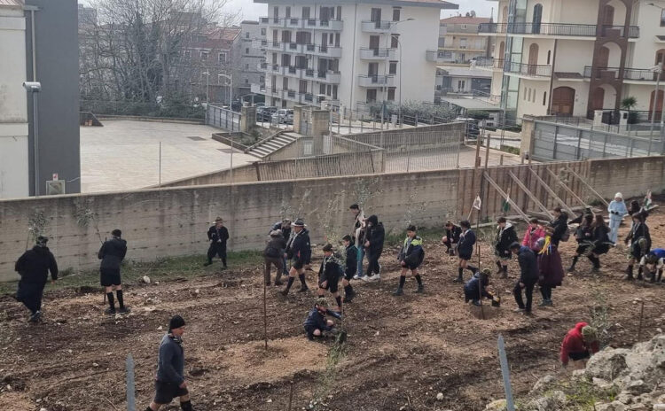 Ragusa: 51 nuovi ulivi