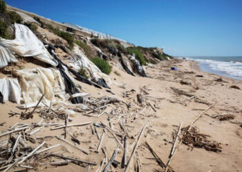 Se Colapesce si stancasse ad Acate