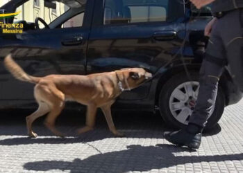 Sequestrati 1,5 kg di droga in transito sullo Stretto di Messina