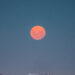 Luna Rosa, baci stellari, stelle cadenti ed eclissi totale di Sole: gli eventi spettacolari di aprile 2024