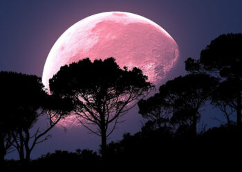 Calendario lunare 2024, arriva la Luna Rosa di aprile: ecco quando