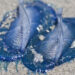 La Velella Velella colora di blu i mari italiani