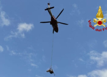 Mucca in un burrone a Modica: salvata