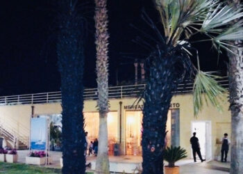 Incendio di due palme al porto di Marina di Ragusa. Denunciata una giovane donna.