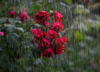 Maltempo in Sicilia, da oggi piogge e vento forte: ecco dove