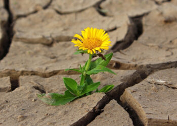 Vittoria, Anci: emergenza idrica in Sicilia, evitare sprechi