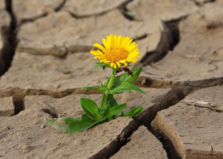 Vittoria, Anci: emergenza idrica in Sicilia, evitare sprechi