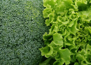 Dimagrire in fretta in una settimana: cosa mangiare