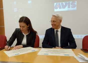 AVIS: quando il Nord incontra il Sud