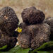 Tartufo siciliano a Chiaramonte Gulfi: prima Fiera mercato