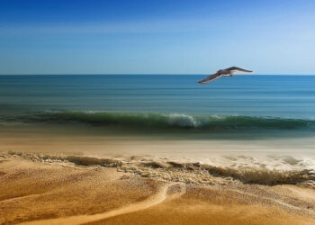 Meteo, caldo africano in arrivo con punte fino a 35 gradi