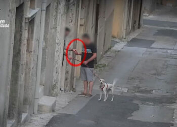 Ragusa, operazione antidroga dei carabinieri: arrestate 9 persone