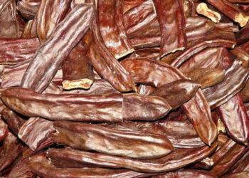 Le potenzialità del carrubo a Ragusa