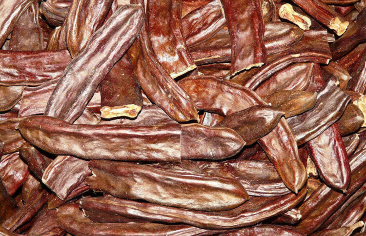 Le potenzialità del carrubo a Ragusa