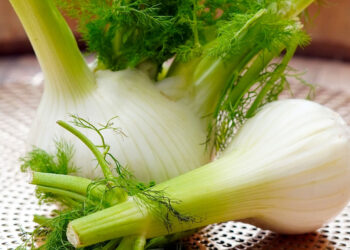 I 10 cibi sazianti per dimagrire subito