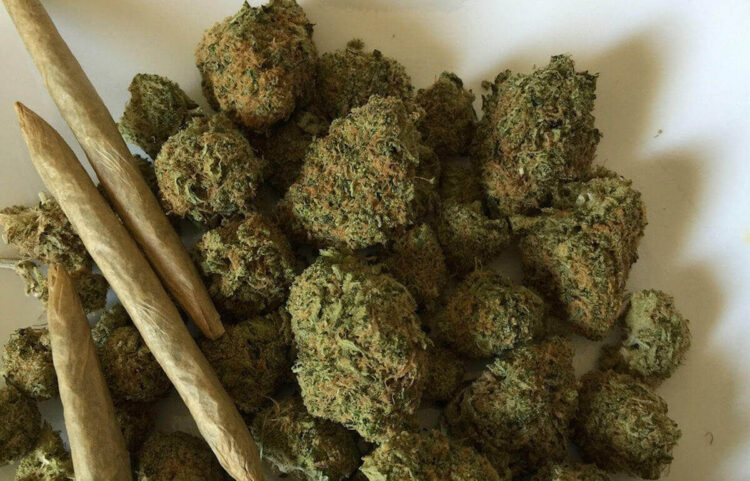 Comiso, marijuana e hashish in casa: arrestato comisano