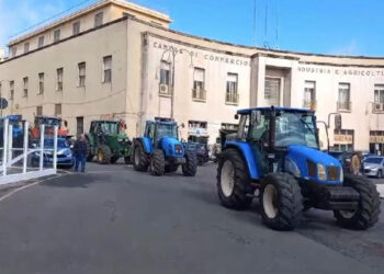 Movimento spontaneo degli agricoltori Ragusa fa un appello a tutti gli agricoltori