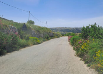 Ragusa: che fine ha fatto l’attuazione del bando per il diserbo e la bonifica della strade comunali?